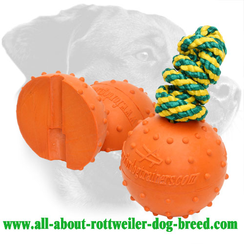 Rubber Rottweiler Training Ball with Dotted Structure