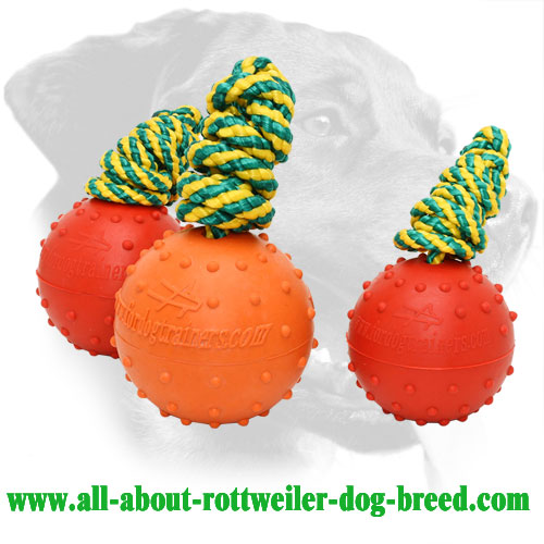 Rubber Rottweiler Training Ball Equipped with Long Rope