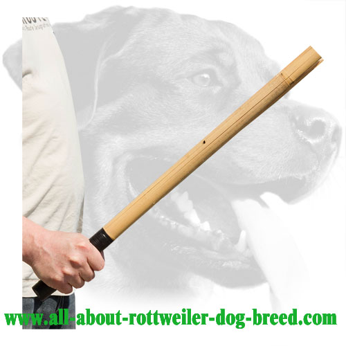 Rottweiler Schutzhund Training Stick Made of Bamboo