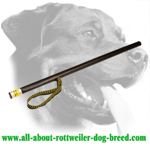 Lightweight Rottweiler Training Stick Made of Leather Covered Plastic