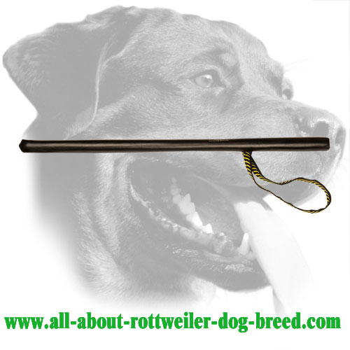 Leather Covered Flexible Rottweiler Training Stick