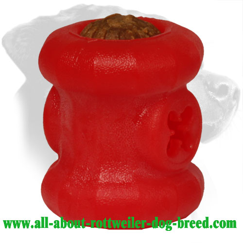 Rottweiler Dental Care Treat Holder Made of Durafoam
