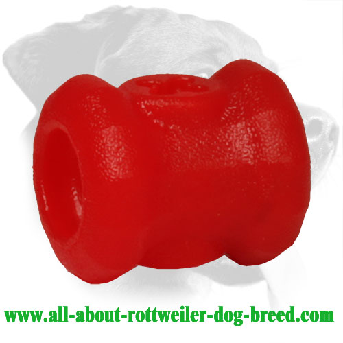 Rottweiler Dental Hygiene Treat Holder Made of Durafoam