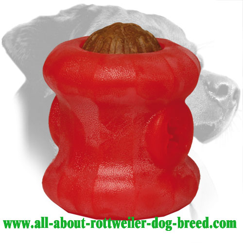 Dental Hygiene Rottweiler Treat Holder Made of Durafoam