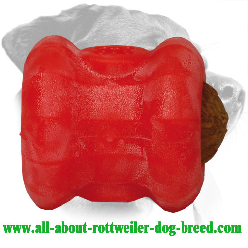 Rottweiler Treat Holder Made of Dishwashable Durafoam