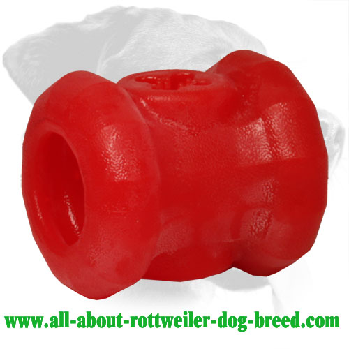 Rottweiler Treat Holder Made of Indestructible Durafoam