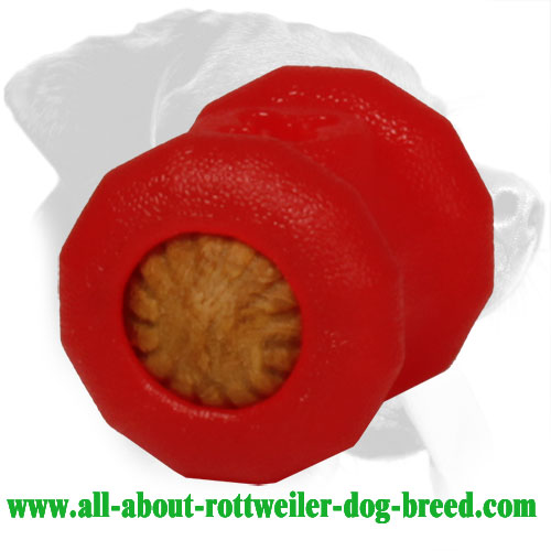 Textured Durafoam Rottweiler Treat Holder