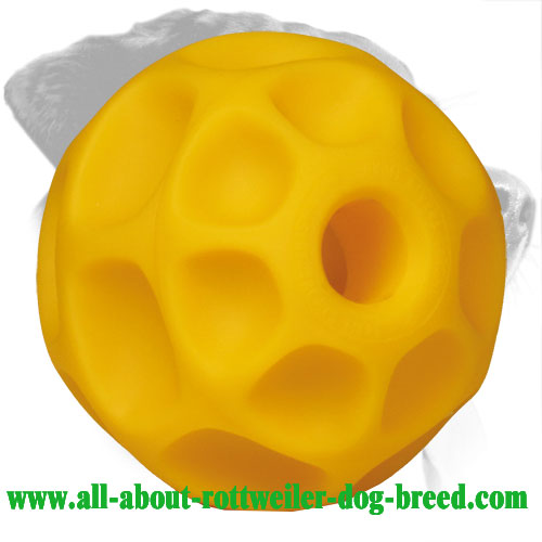 Rottweiler Treat Holder Made of Tetraflex with Honeycomb Structure