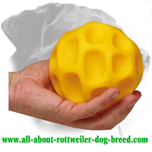 Tetraflex Rottweiler Treat Holder for Retrieve Training
