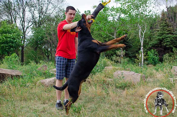 Rottweiler bite-tug handmade with-handles for-training