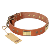 'Enchanting Spectacle' FDT Artisan Rottweiler Tan Leather Dog Collar with Golden-Like Studs - 1 1/2 inch (40 mm) wide