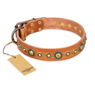'Feast of Luxury' FDT Artisan Rottweiler Tan Leather Dog Collar with Old Bronze-Like Plated Circles - 1 1/2 inch (40 mm) wide
