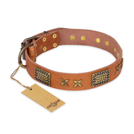 'Cosmic Traveller' FDT Artisan Adorned Leather Rottweiler Collar with Fancy Stars and Plates