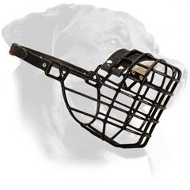 Wire Basket Rottweiler Muzzle for Winter Walking and Training