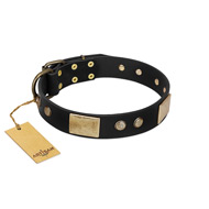 "Antique Gloss" FDT Artisan Black Leather Rottweiler Collar with Bronze-like Plates and Small Studs