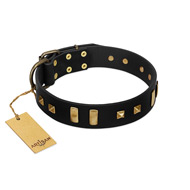 "Fit for Royalty" FDT Artisan Black Leather Rottweiler Collar with Plates and Small Square Studs