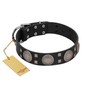 "Sun in Shining" Modern FDT Artisan Black Leather Rottweiler Collar with Studs and Stars
