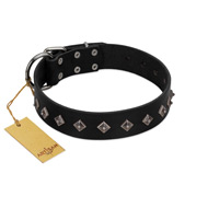 "Immense Power" Handcrafted FDT Artisan Black Leather Rottweiler Collar with Small Dotted Pyramids