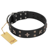 "Star Excitement" Modern FDT Artisan Black Leather Rottweiler Collar with Studs and Stars