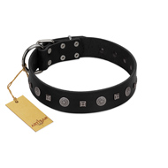 "Mr. Elegance" Designer FDT Artisan Black Leather Rottweiler Collar with Silver-Like Studs