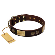 "Bow-Wow Effect" FDT Artisan Brown Leather Rottweiler Collar with Plates and Ornate Studs