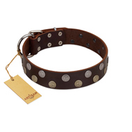 "Shadow Warrior" FDT Artisan Mystic Brown Leather Rottweiler Collar with Runes