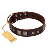 "Object of Virtu" FDT Artisan Brown Leather Rottweiler Collar with Old Silver-like Square Studs and Pyramids