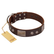 "Stone Stars" Stylish Handmade FDT Artisan Brown Leather Rottweiler Collar