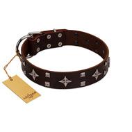 "Trendy Candy" FDT Artisan Brown Leather Rottweiler Collar Adorned with Stars and Tiny Squares