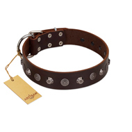 "Dark Chocolate" Handmade FDT Artisan Brown Leather Rottweiler Collar with Studs