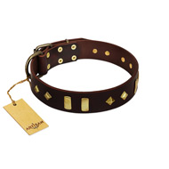"Blinking Illusion" FDT Artisan Brown Leather Rottweiler Collar with Old Bronze-like Studs and Plates