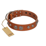 "Era Infinitum" FDT Artisan Tan Leather Rottweiler Collar Adorned with Chrome-plated Circles