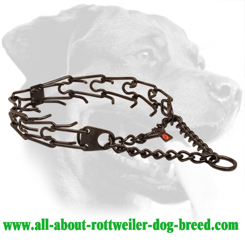 Black Pinch Dog Collar Made of Stainless Steel