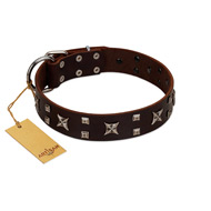 "Bigwig Woof" FDT Artisan Brown Leather Rottweiler Collar with Chrome Plated Stars and Square Studs