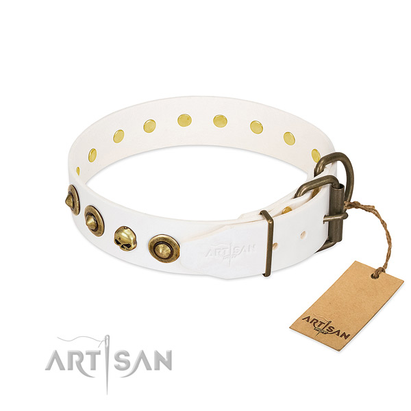 Leather collar with impressive studs for your pet