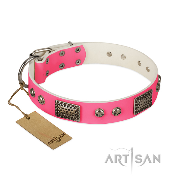 Easy wearing full grain genuine leather dog collar for walking your canine