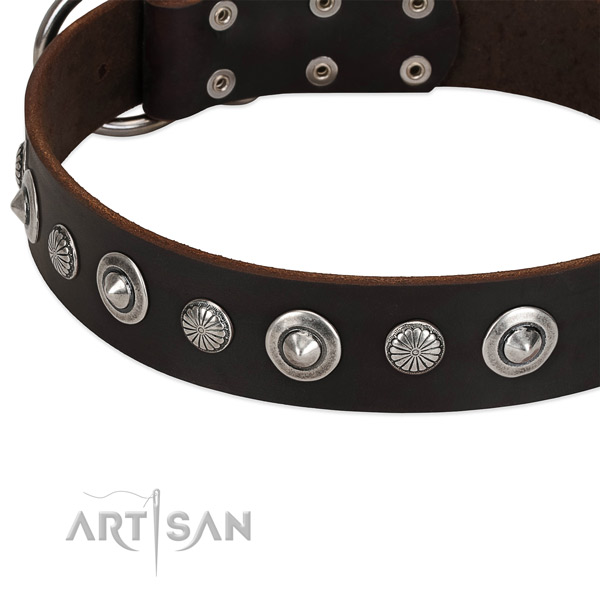 Extraordinary embellished dog collar of top quality full grain genuine leather