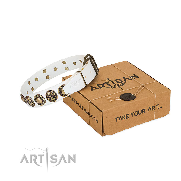 Corrosion proof embellishments on dog collar for everyday walking