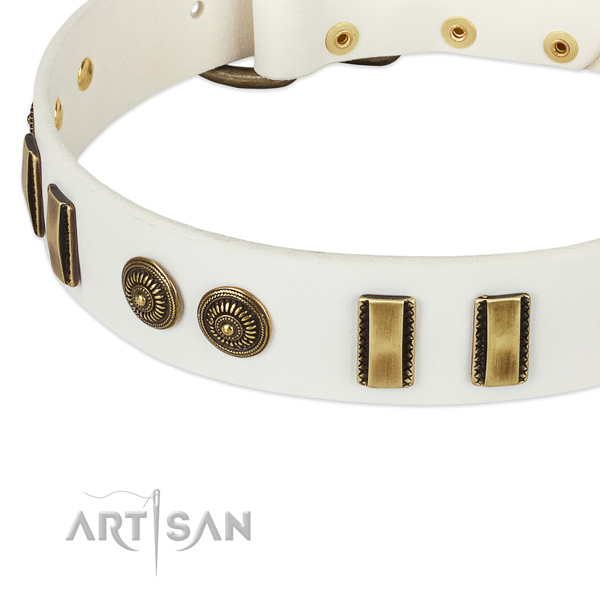 Reliable decorations on natural leather dog collar for your four-legged friend