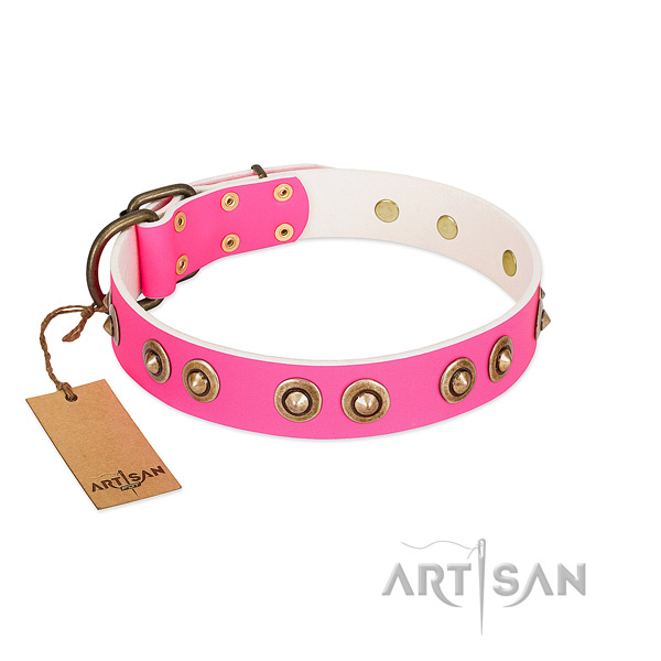 Handcrafted full grain leather dog collar for everyday walking