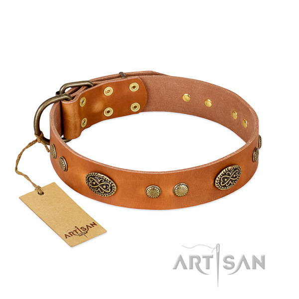 Rust-proof decorations on full grain leather dog collar for your pet
