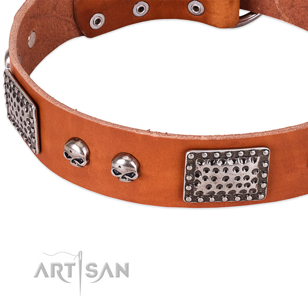 Corrosion proof buckle on natural genuine leather dog collar for your canine