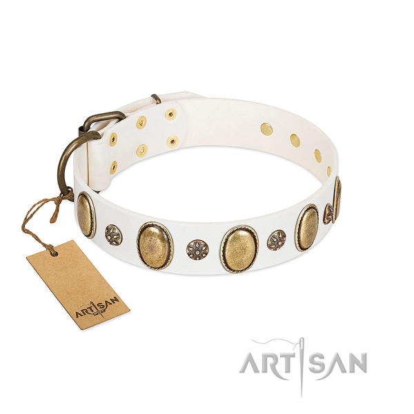 Everyday walking soft full grain leather dog collar with adornments
