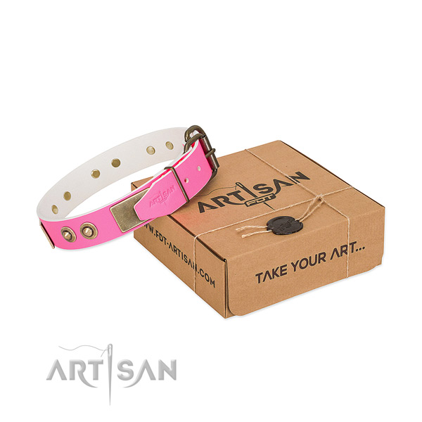 Corrosion proof decorations on full grain leather dog collar for your four-legged friend