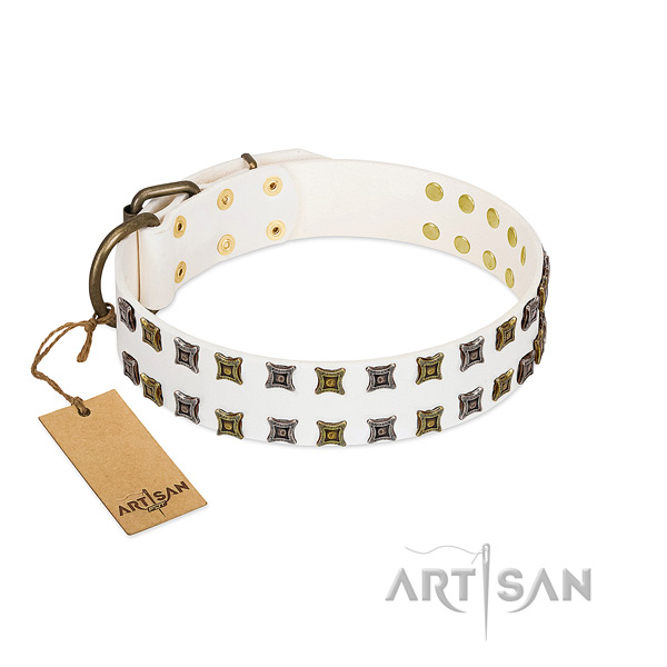 High quality genuine leather dog collar with adornments for your dog