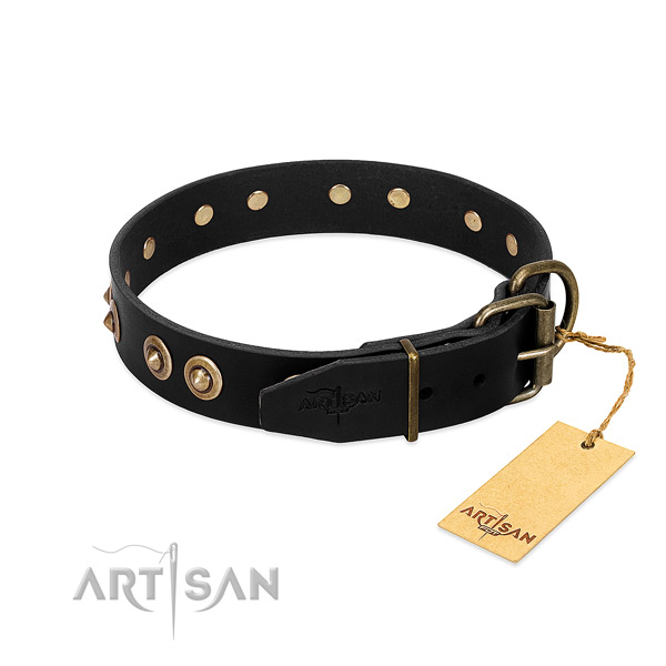 Strong embellishments on leather dog collar for your doggie