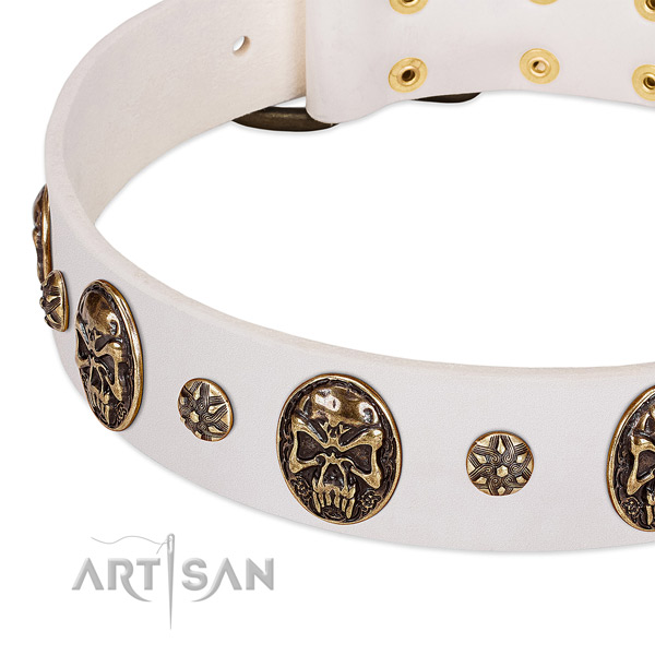 Strong decorations on full grain leather dog collar for your doggie