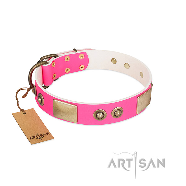 Corrosion proof decorations on full grain genuine leather dog collar for your pet