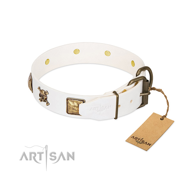 Exceptional full grain leather dog collar with rust resistant decorations