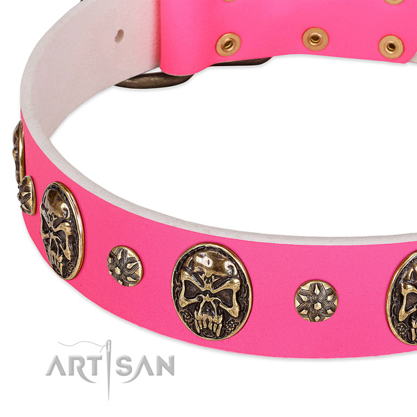 Amazing dog collar created for your impressive canine